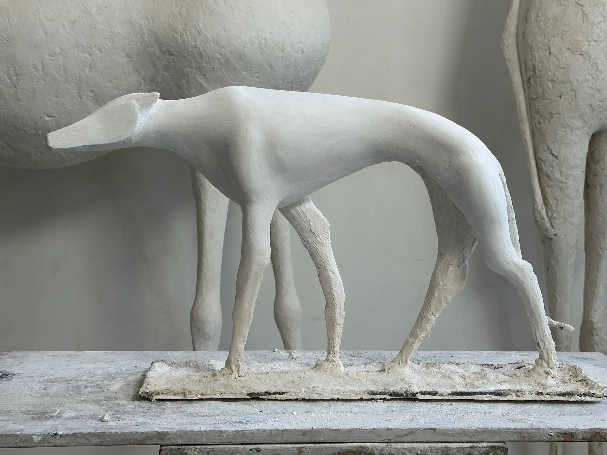 Street dog, 2025